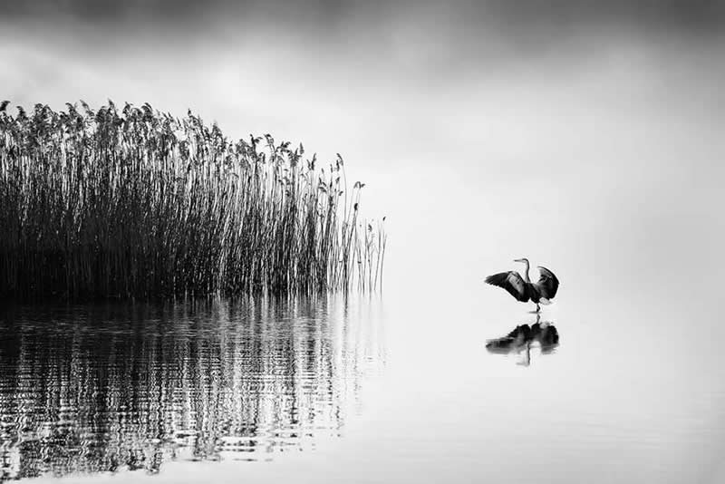Long Exposure Black and White Landscapes by George Digalakis