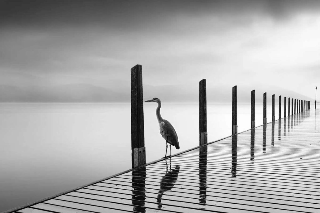 Long Exposure Black and White Landscapes by George Digalakis