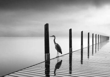 Long Exposure Black and White Landscapes by George Digalakis
