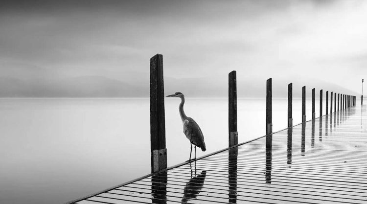 Long Exposure Black and White Landscapes by George Digalakis