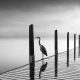 Long Exposure Black and White Landscapes by George Digalakis