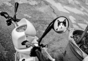 Magical Black-and-White Street Photos