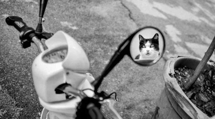 Magical Black-and-White Street Photos