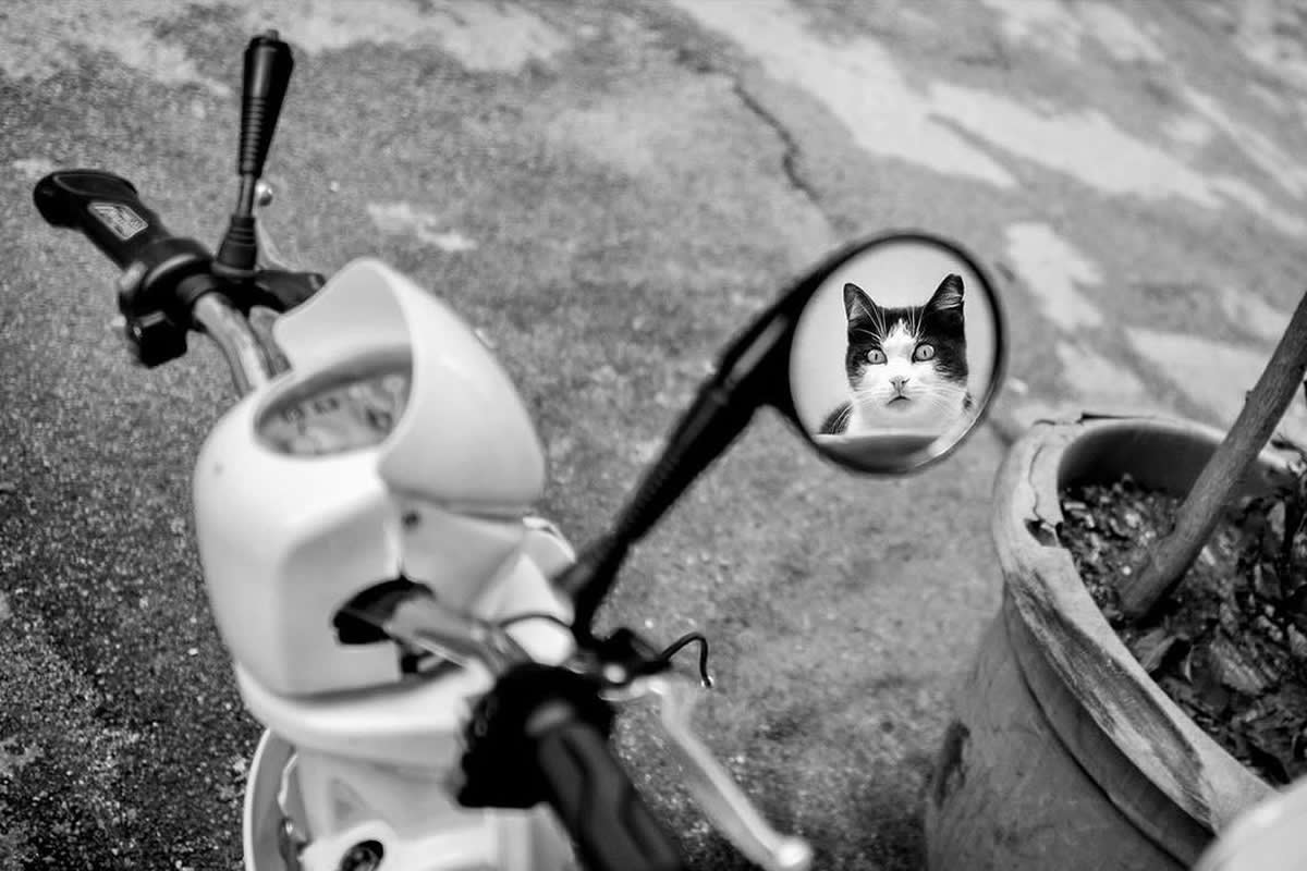 30 Magical Black-and-White Street Photos That Capture Timeless Moments