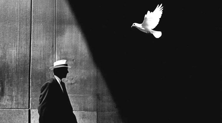 Beauty of Everyday Life Black and White Street Photography