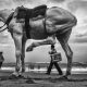 Black-and-White Photos That Show the Power of Composition in Street Photography