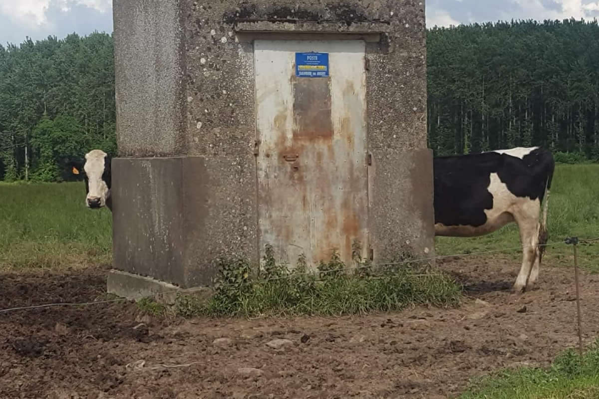 22 Photos with Confusing Perspectives That Will Twist Your Brain