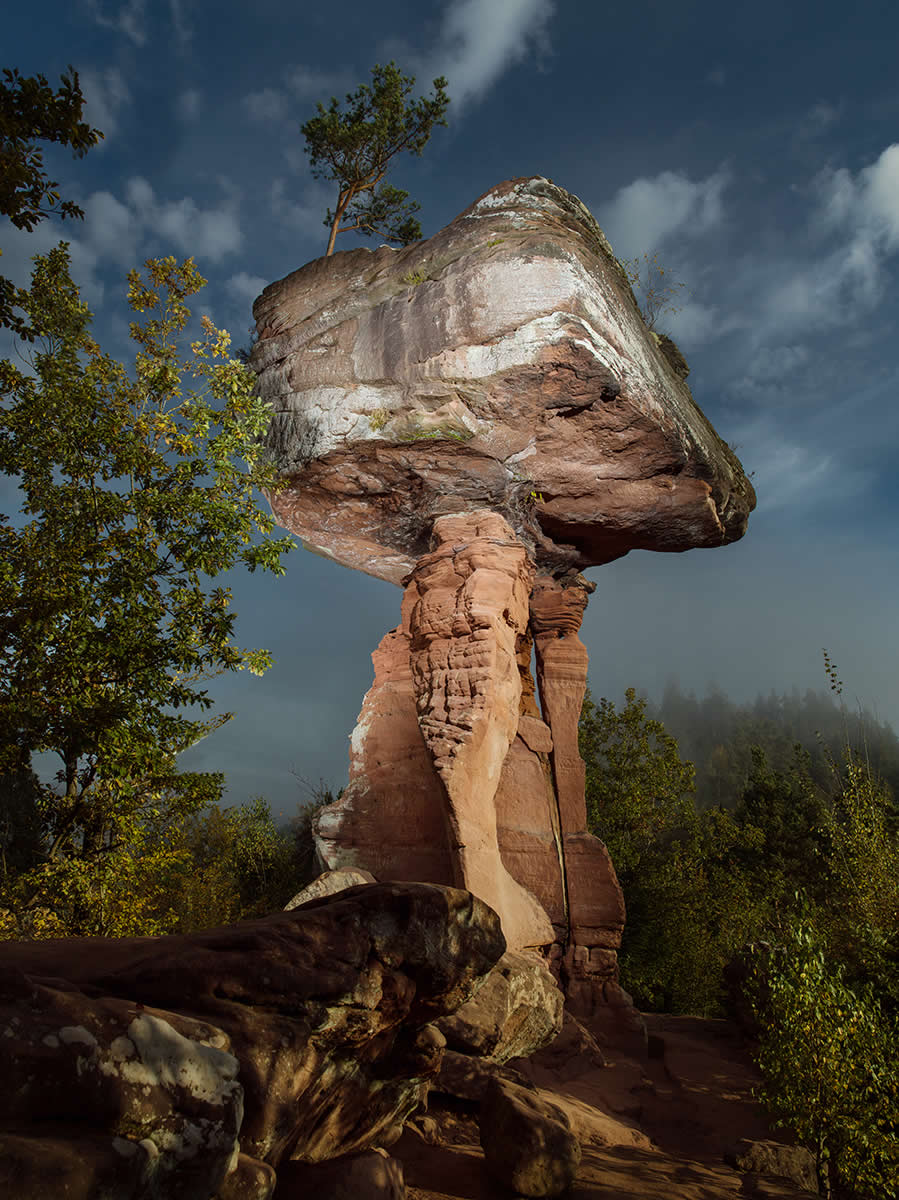 Nature Winners from 2025 Fine Art Photography Awards