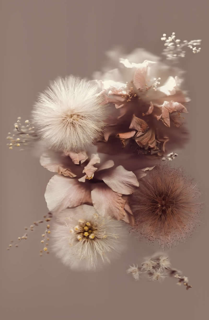 Nature Winners from 2025 Fine Art Photography Awards