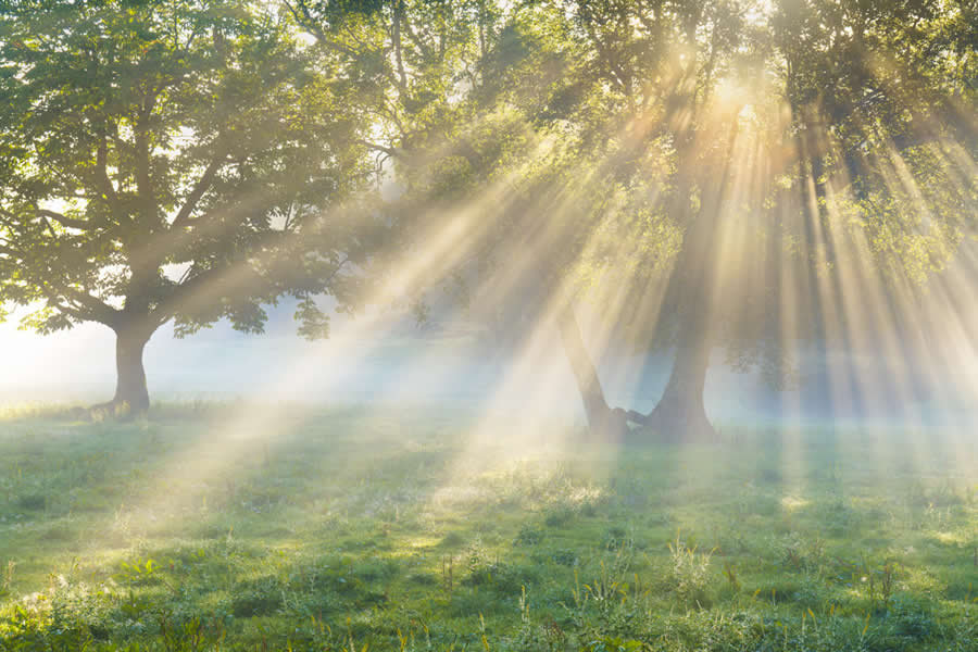 Nature Winners from 2025 Fine Art Photography Awards