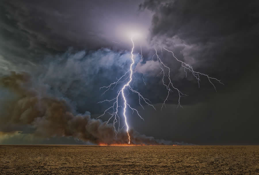 Nature Winners from 2025 Fine Art Photography Awards