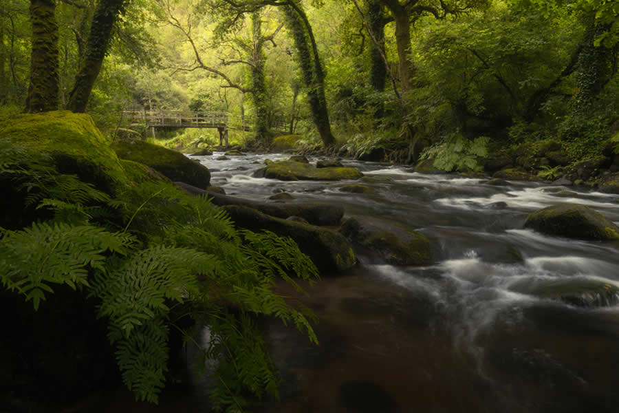 Nature Winners from 2025 Fine Art Photography Awards