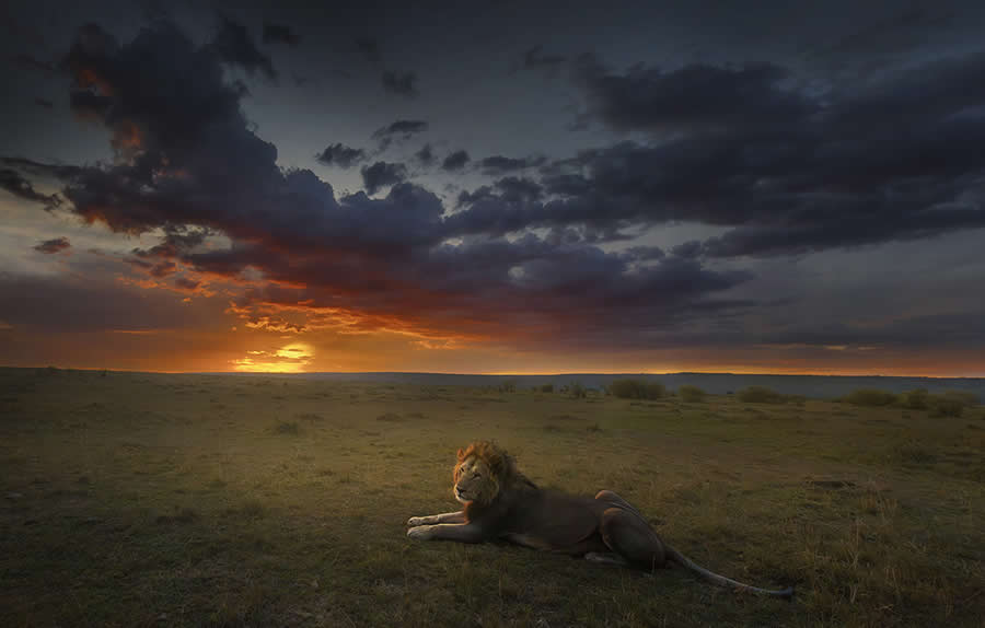 Nature Winners from 2025 Fine Art Photography Awards
