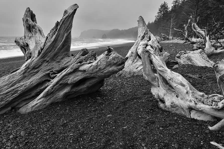 Nature Winners from 2025 Fine Art Photography Awards