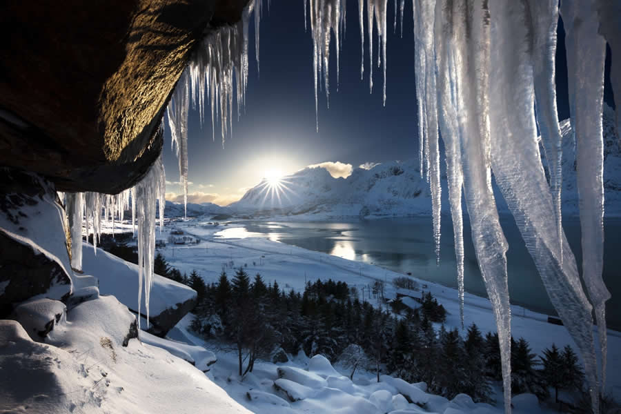Nature Winners from 2025 Fine Art Photography Awards