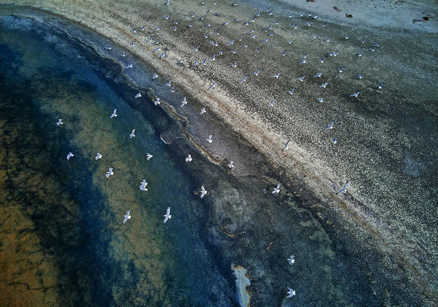 Nature Winners from 2025 Fine Art Photography Awards