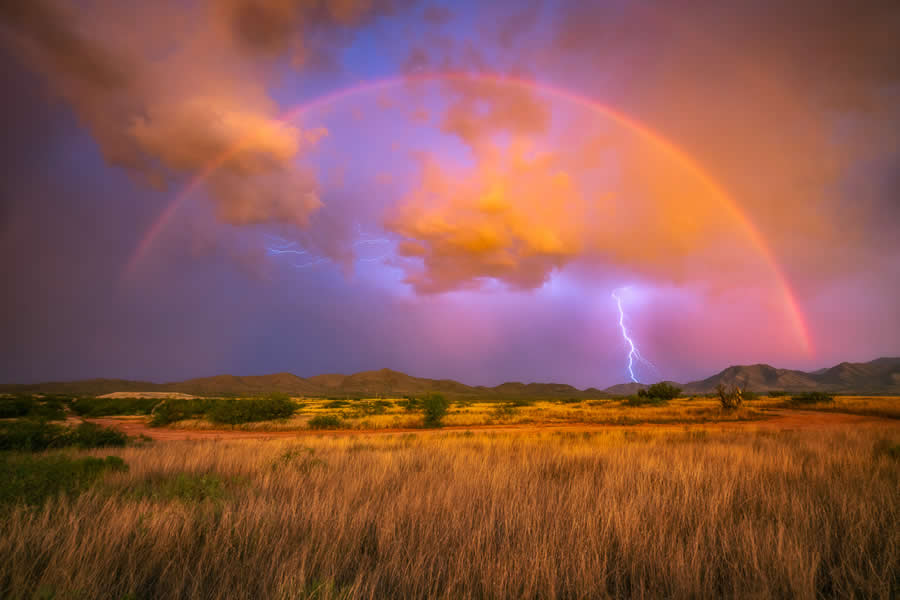 Nature Winners from 2025 Fine Art Photography Awards
