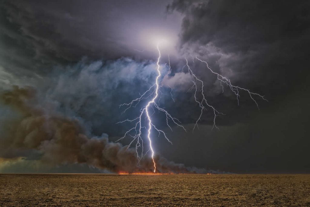 Nature Winners from 2025 Fine Art Photography Awards