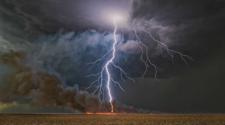 Nature Winners from 2025 Fine Art Photography Awards