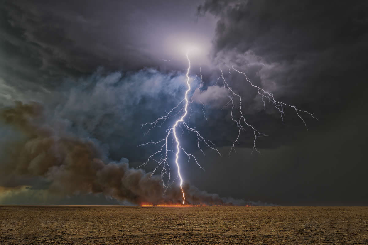 Nature Winners from 2025 Fine Art Photography Awards