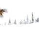 2025 Fine Art Photography Awards Wildlife Winners