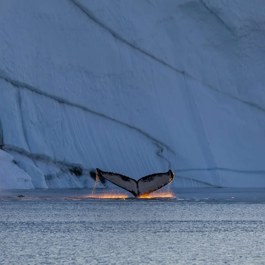 Breathtaking Landscape Photos of Frozen Greenland by Milan Chudoba