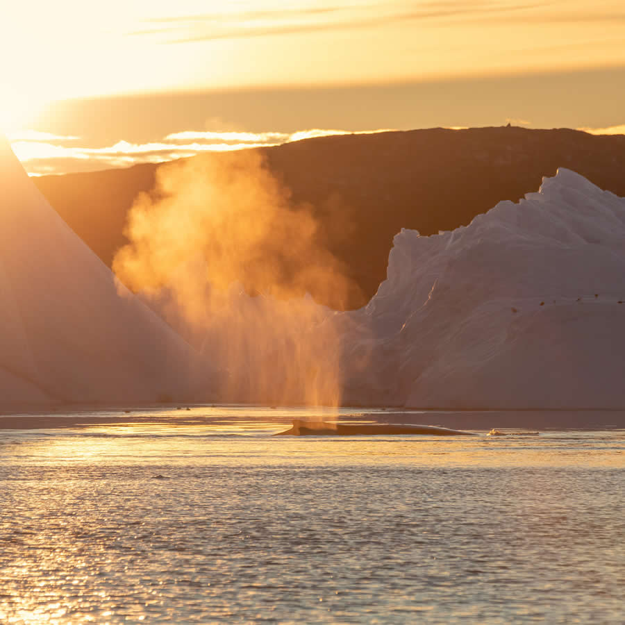 Breathtaking Landscape Photos of Frozen Greenland by Milan Chudoba