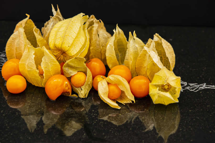 Gurushots Still Life Photo Challenge Winners