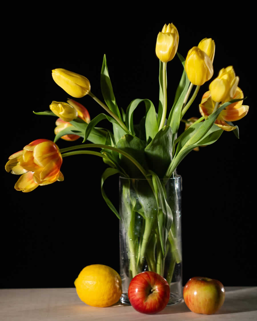 Gurushots Still Life Photo Challenge Winners