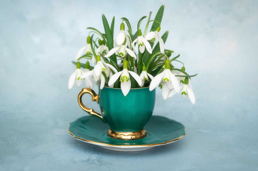 Gurushots Still Life Photo Challenge Winners
