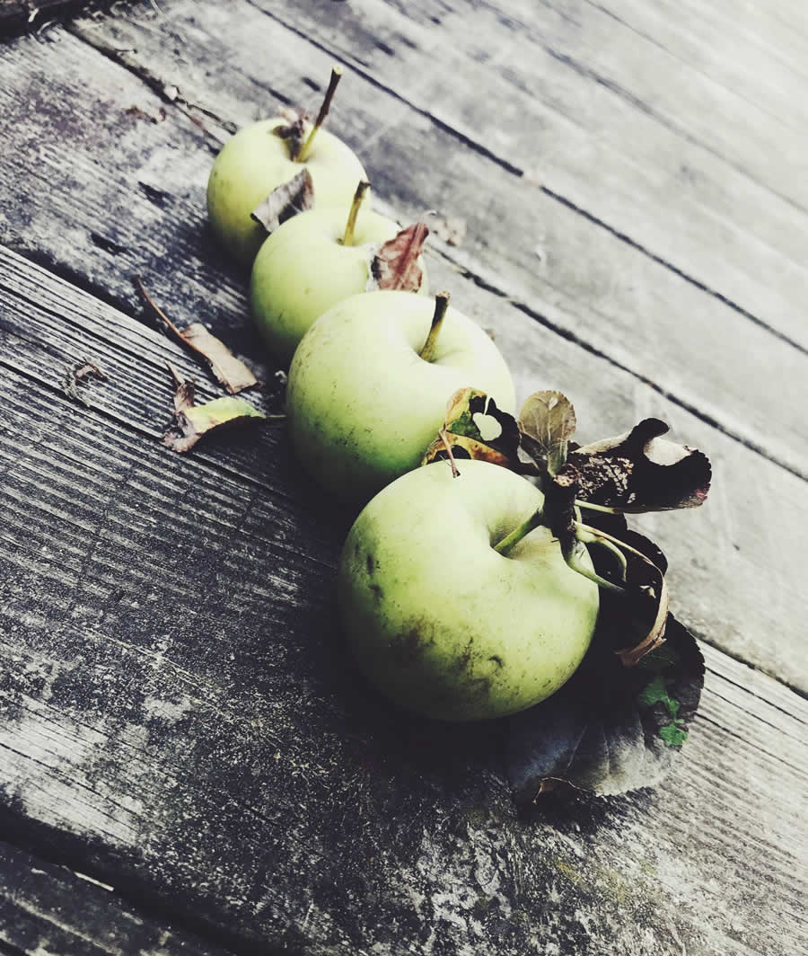 Gurushots Still Life Photo Challenge Winners