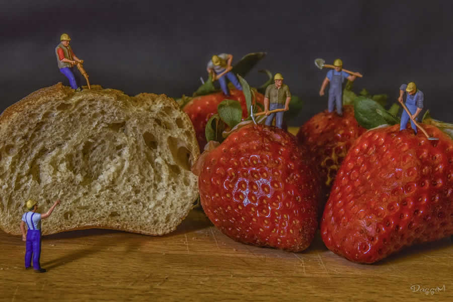 Gurushots Still Life Photo Challenge Winners