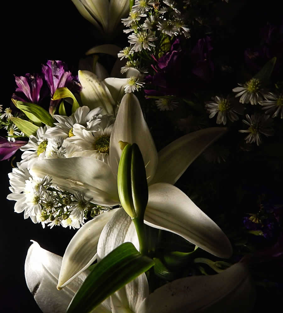 Gurushots Still Life Photo Challenge Winners