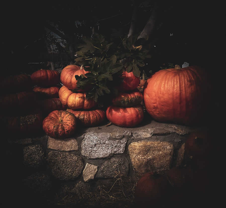 Gurushots Still Life Photo Challenge Winners