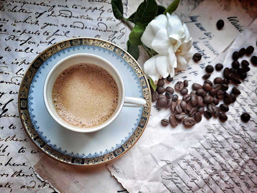 Gurushots Still Life Photo Challenge Winners