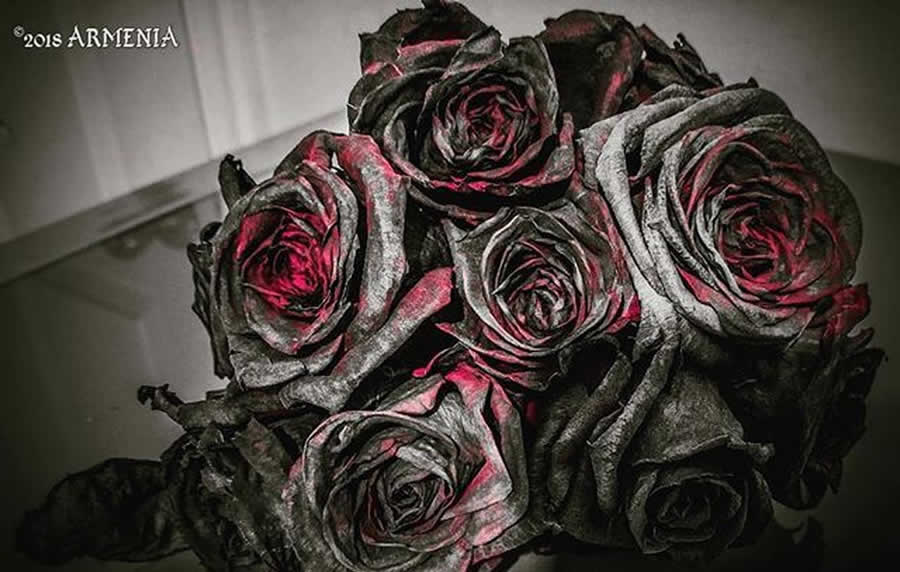 Gurushots Still Life Photo Challenge Winners