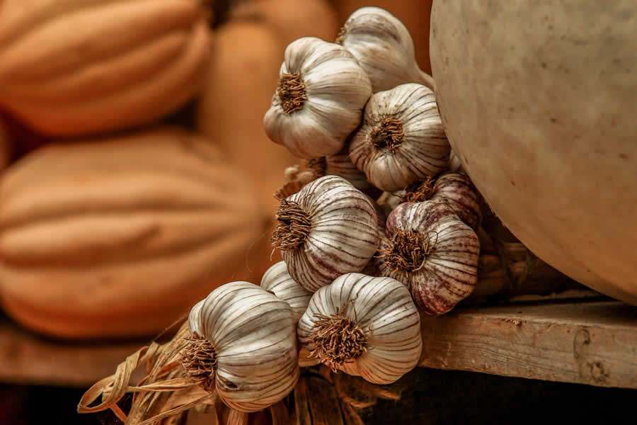 Gurushots Still Life Photo Challenge Winners