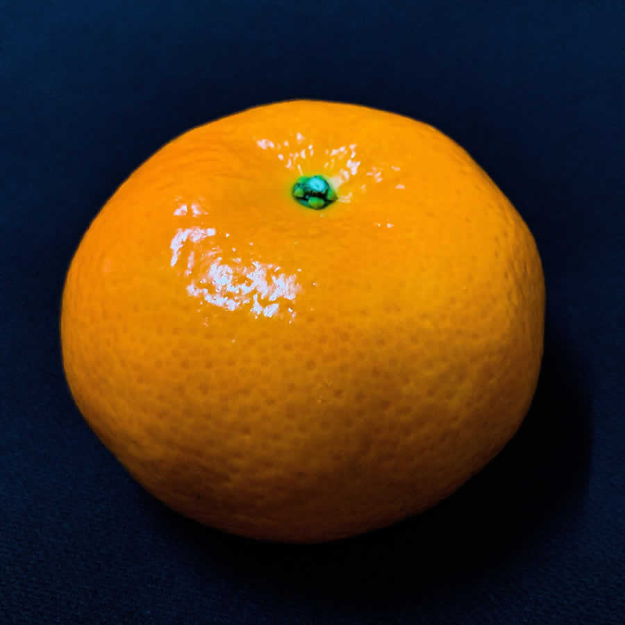 Gurushots Still Life Photo Challenge Winners