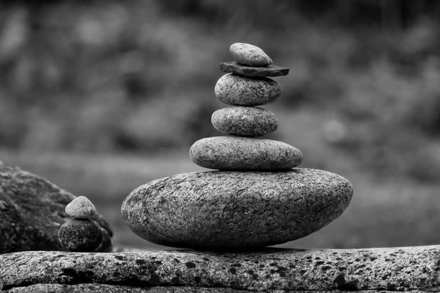Gurushots Still Life Photo Challenge Winners