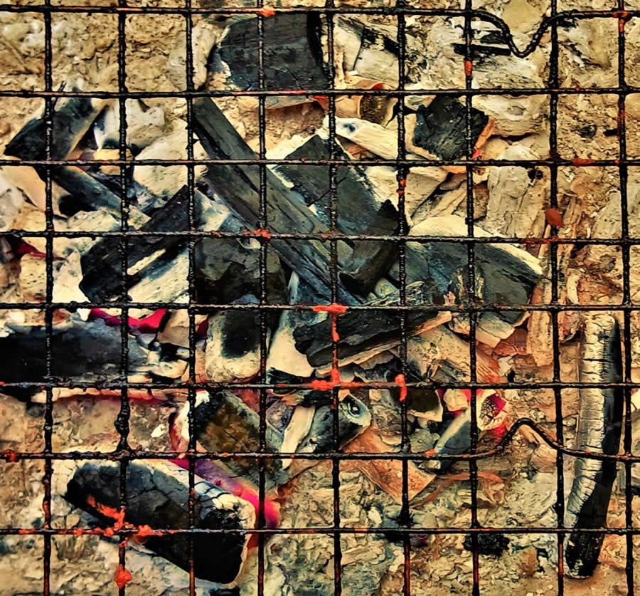 Gurushots Still Life Photo Challenge Winners