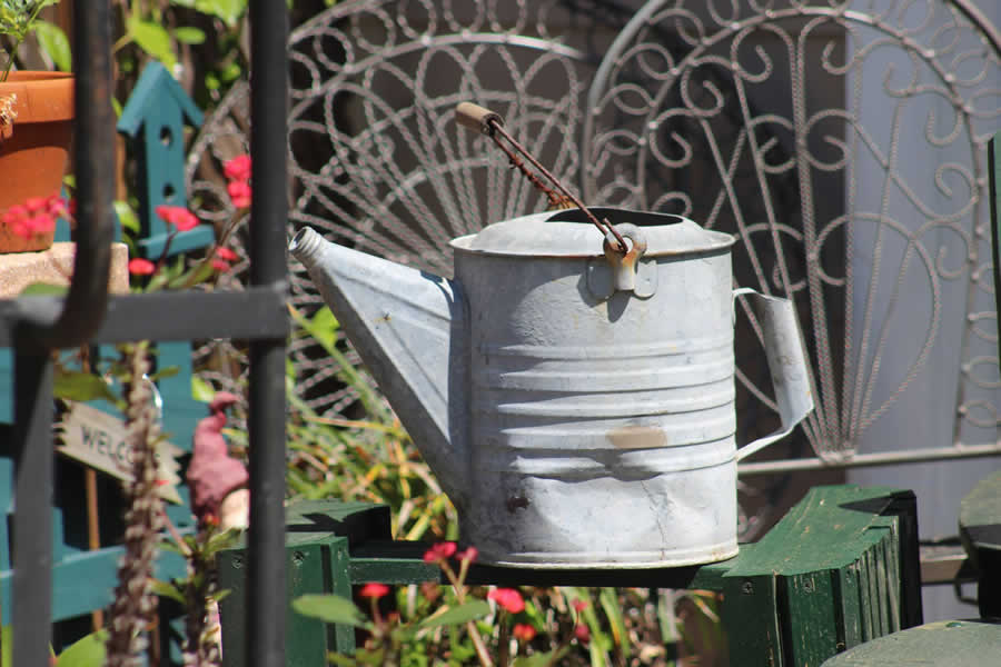 Gurushots Still Life Photo Challenge Winners