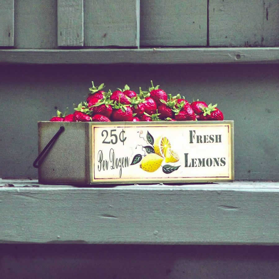 Gurushots Still Life Photo Challenge Winners
