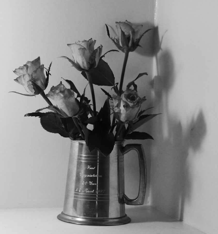 Gurushots Still Life Photo Challenge Winners