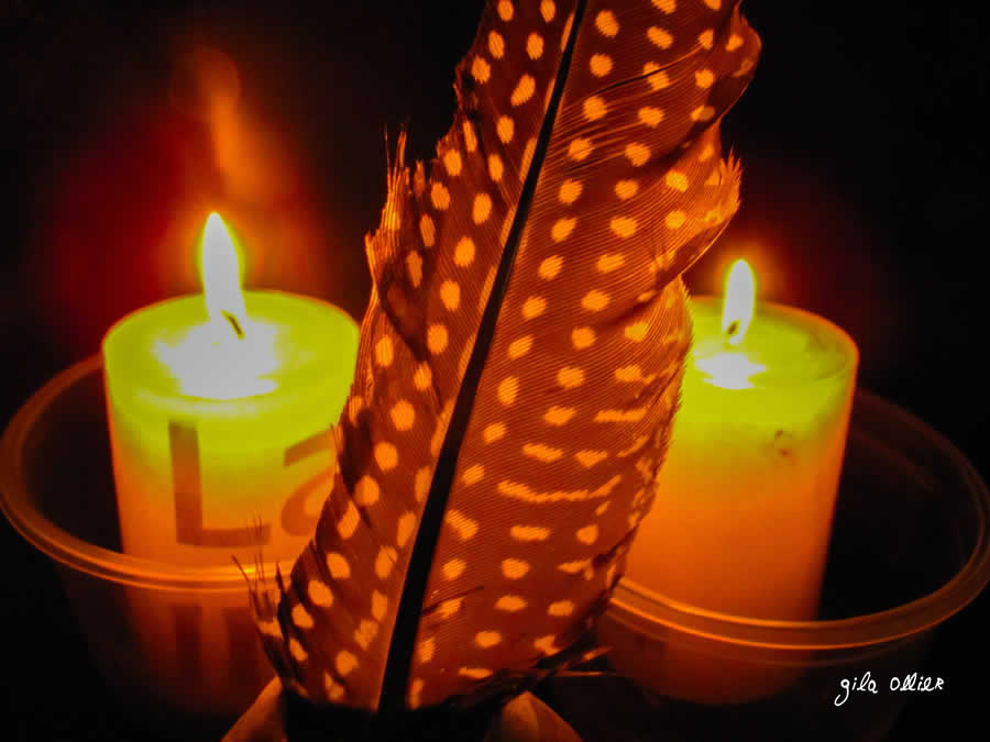 Gurushots Still Life Photo Challenge Winners