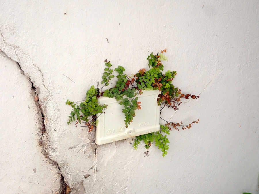 Gurushots Still Life Photo Challenge Winners