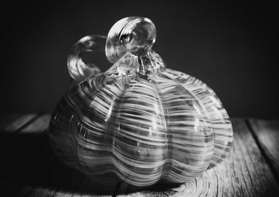 Gurushots Still Life Photo Challenge Winners