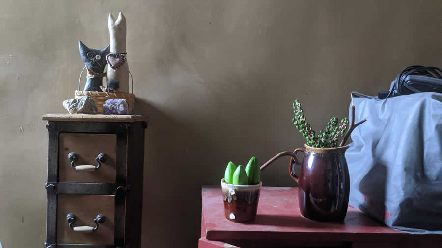 Gurushots Still Life Photo Challenge Winners