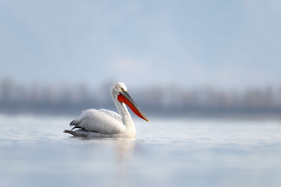Nature and Wildlife Photography by Hari Kumar Prasannakumar