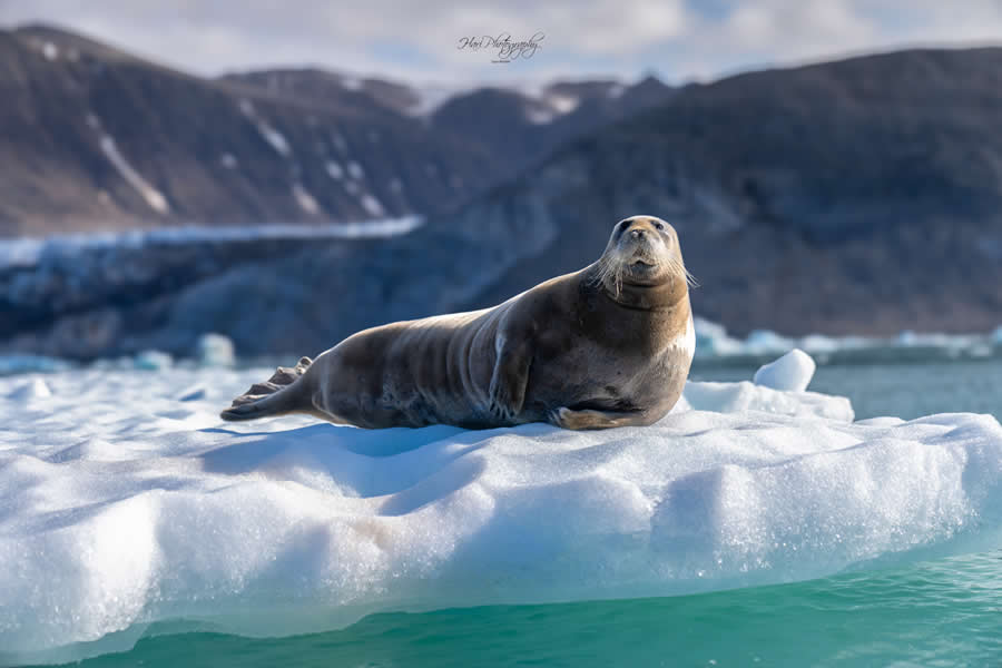 Nature and Wildlife Photography by Hari Kumar Prasannakumar