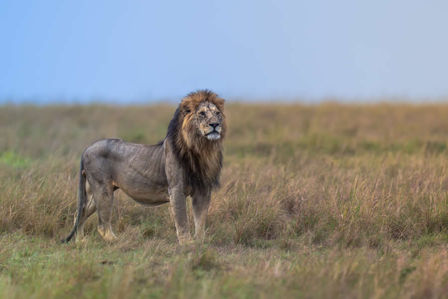 Nature and Wildlife Photography by Hari Kumar Prasannakumar